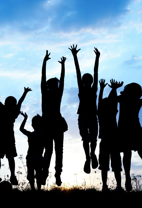 Nonprofit Organization GPS Fleet Monitoring System